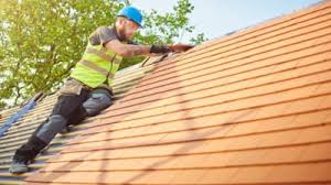 Best Roof Moss and Algae Removal  in Brinkley, AR